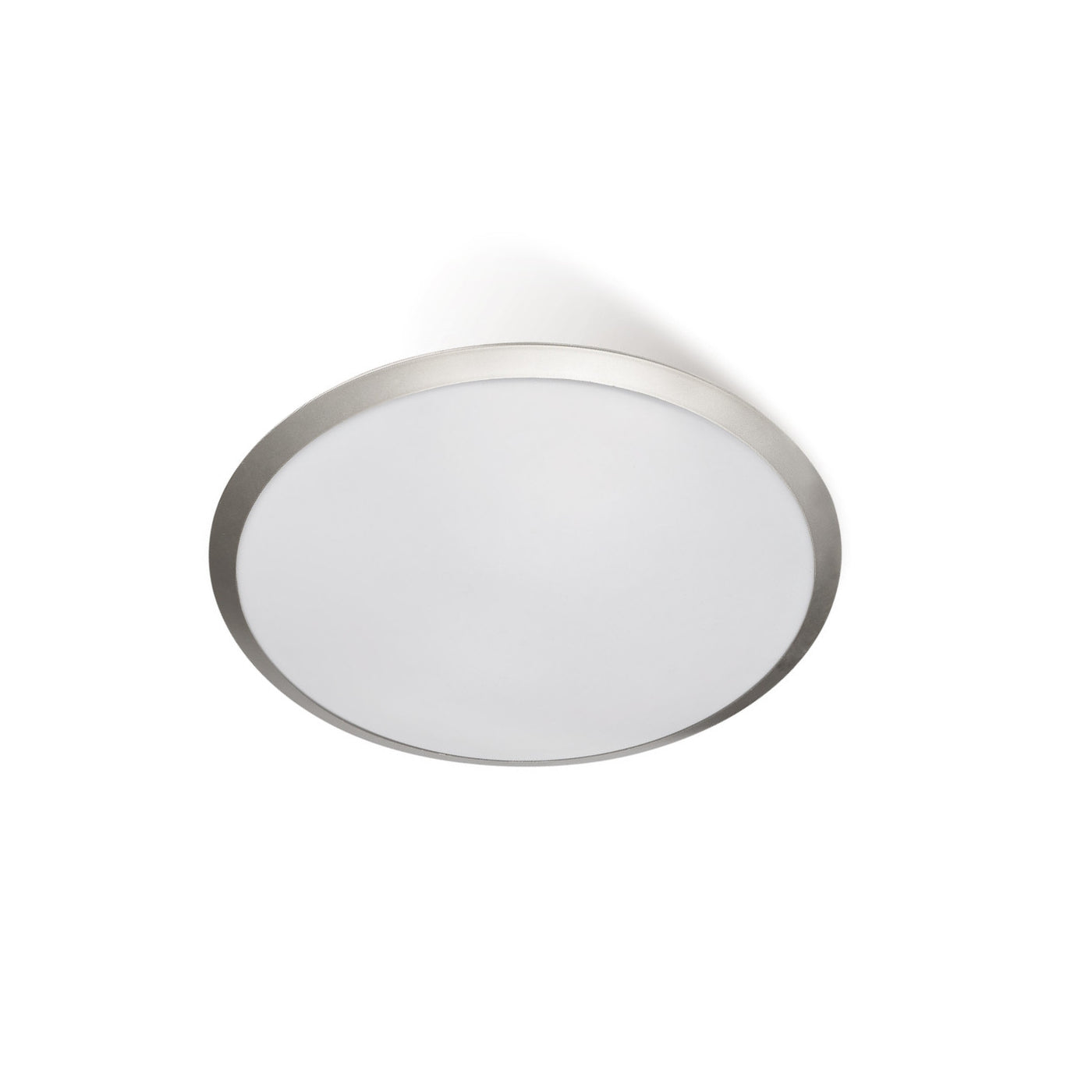 DOMINO OYSTER nonDim