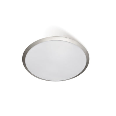 DOMINO OYSTER nonDim