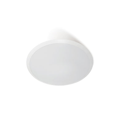 DOMINO OYSTER nonDim