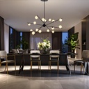 CAPTIVA 16 LIGHT PENDANT - LS1