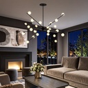 CAPTIVA 24 LIGHT PENDANT - LS1