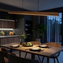 LUCID 180CM PENDANT - LS1