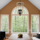 HOSLEY 6 LIGHT PENDANT - LS1