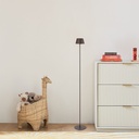 BRIANA RECHARGEABLE FLOOR LAMP - LS2
