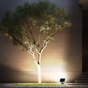 NEO 150W LED FLOOD LEAD&PLUG - LS3