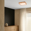 LYRIC 40 24W LED OYSTER - LS1