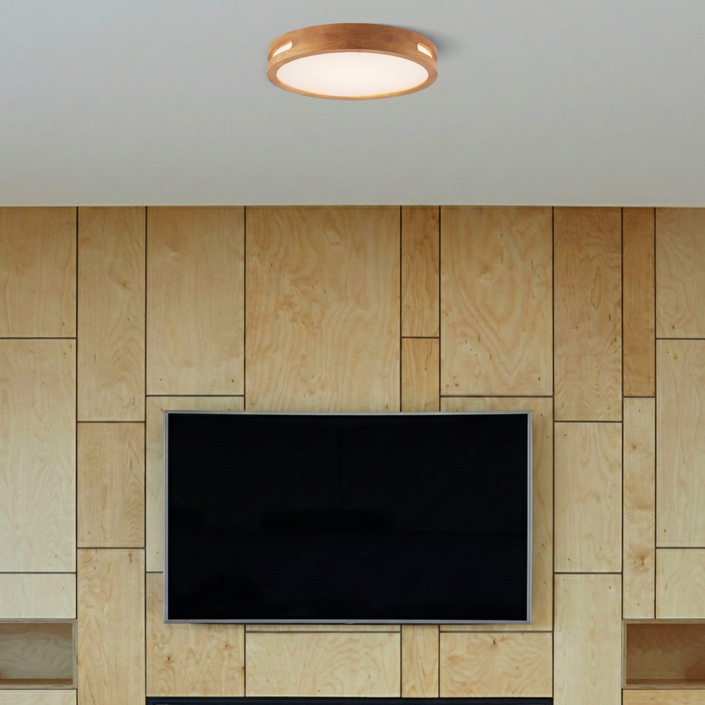 THALIA 24W LED OYSTER - LS1