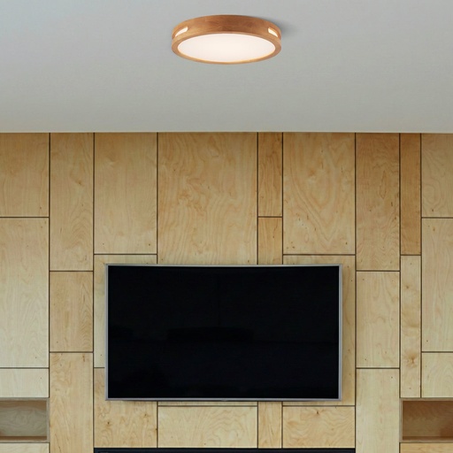 THALIA 24W LED OYSTER - LS1