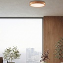 THALIA 36W LED OYSTER - LS1