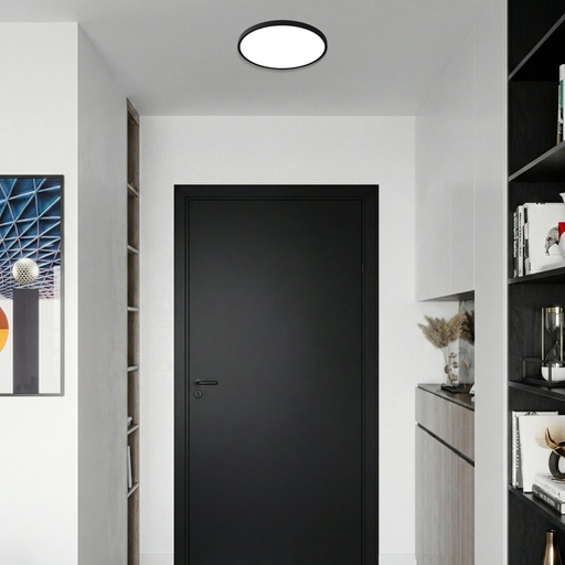 SKY 30 ROUND OYSTER - LS1