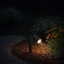 CLOVIS SP-BK24_LS.webp