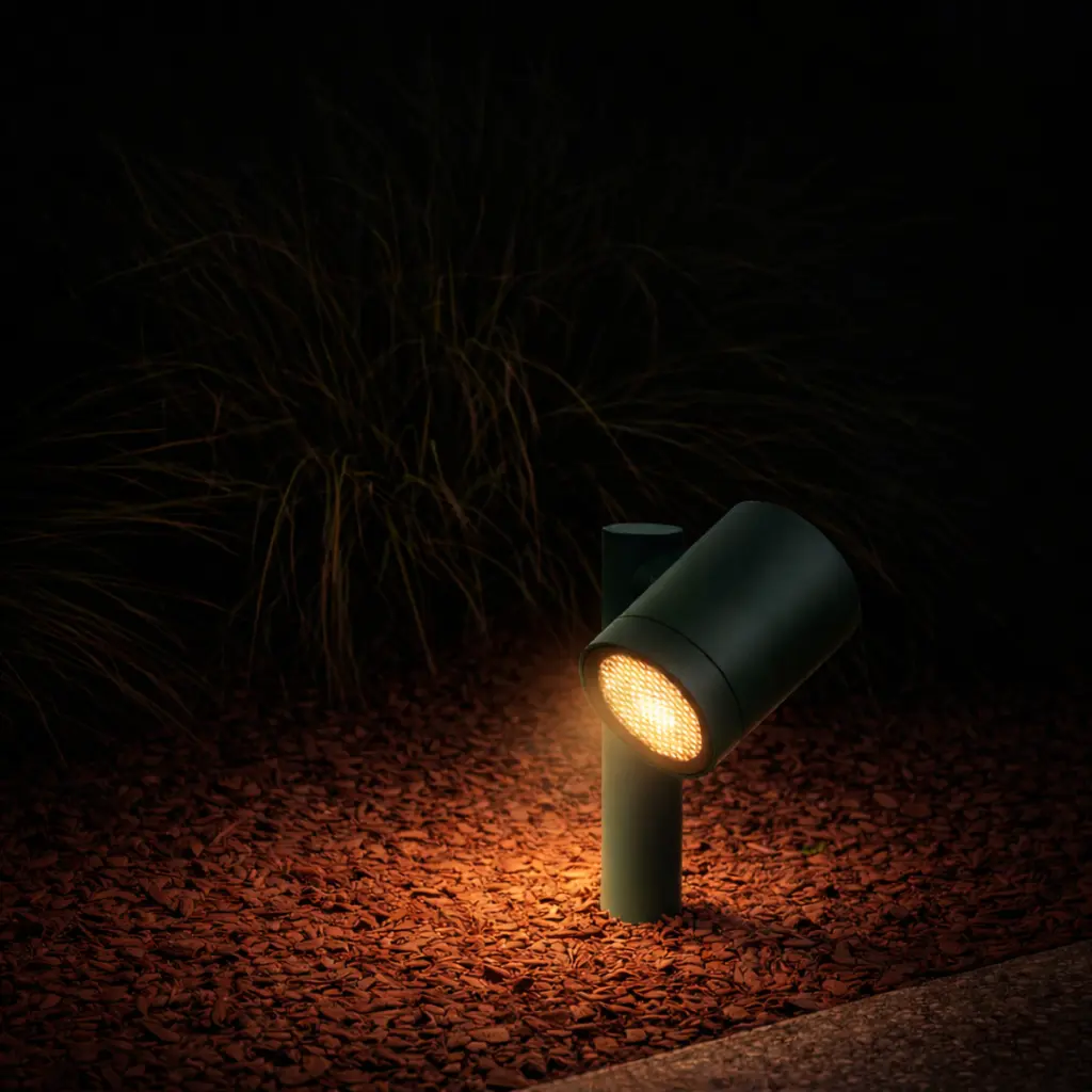 CLOVIS SP-GN24_LS.webp