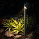CLOVIS PT-GN24_LS.webp