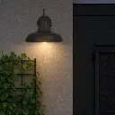 GORDON EX-BK_LS1.webp