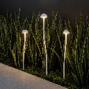 ENOKI SPK3-BE324_LS1.webp