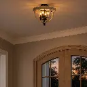 HOSLEY BK_LS5.webp