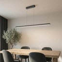 TORBEN 160 LINEAR PENDANT - LS1