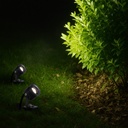 RILTO SPIKE LIGHT - LS4