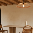 VALLEJO 60 PENDANT - LS1