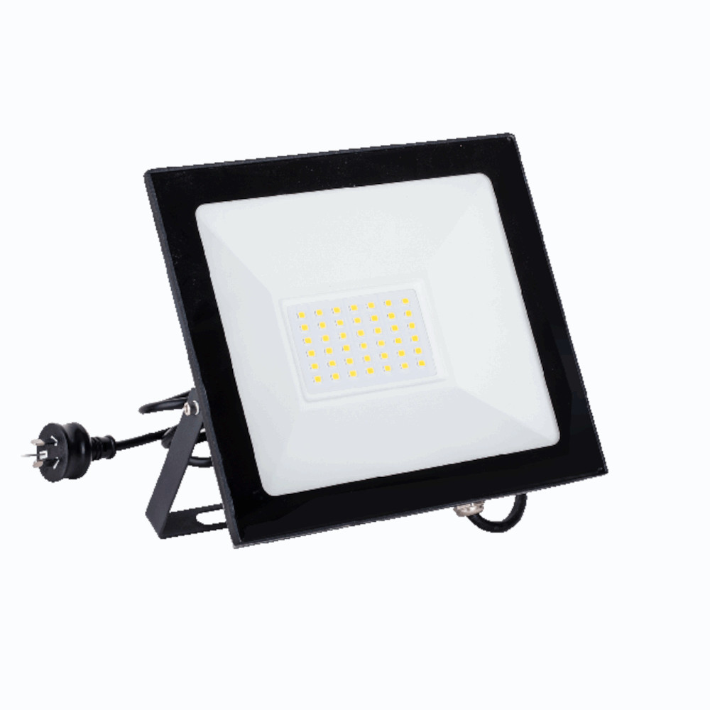 NEO 30W FLOOD LEAD & PLUG LED LIGHT